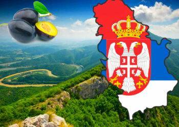 Map of Serbia, Moving to Serbia