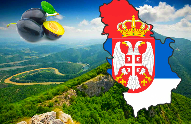 Map of Serbia, Umzug nach Serbien