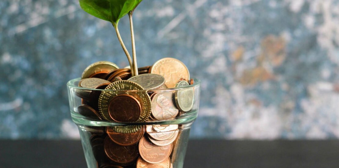 Coins in a cup with a plant growing out of it, Geldwäsche in Serbien